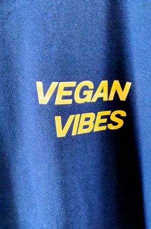 T Shirt at Vegan House in Ulaanbaatar