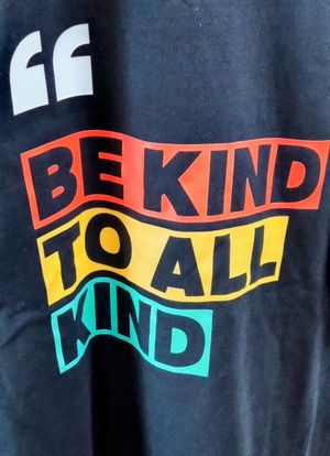 T Shirt at Vegan House in Ulaanbaatar