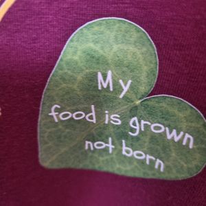 Vegan T-shirt at Vegan House in Ulaanbaatar