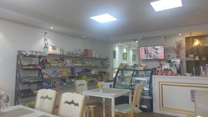  at Vegan House in Ulaanbaatar