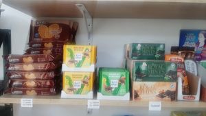  at Vegan House in Ulaanbaatar