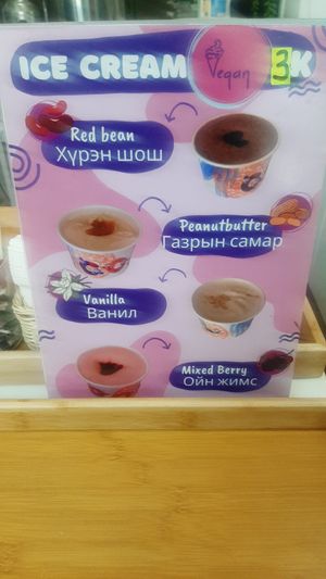  at Vegan House in Ulaanbaatar