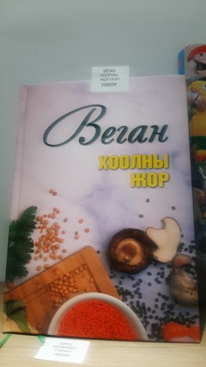  at Vegan House in Ulaanbaatar