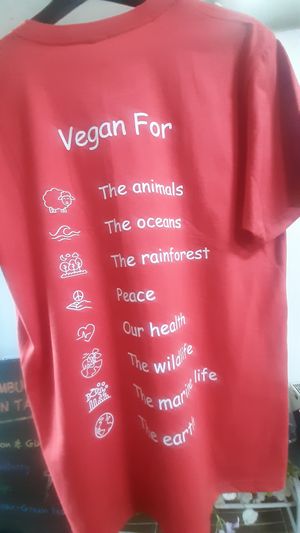  at Vegan House in Ulaanbaatar