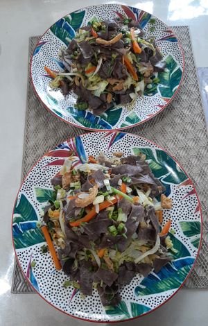 Tsuivan at Vegan House in Ulaanbaatar