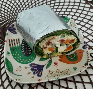 Burrito at Vegan House in Ulaanbaatar