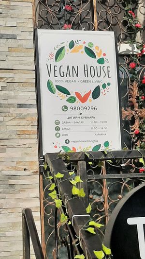  at Vegan House in Ulaanbaatar