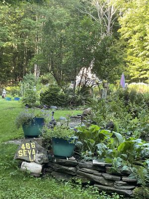   at SEVA Foundation in South Kortright