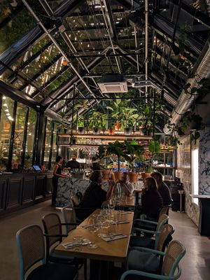 Inside at Elaine's Greenhouse in Frankfurt