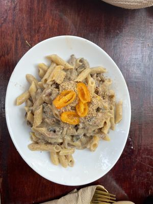 Gluten free Alfredo literally sooooo good  at Tierra Verde in Playa Del Carmen