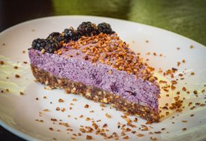 Raw Vegan Blueberry Cheesecake at Tierra Verde in Playa Del Carmen