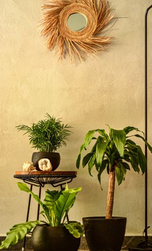  at Tierra Verde in Playa Del Carmen