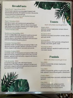   at Tierra Verde in Playa Del Carmen