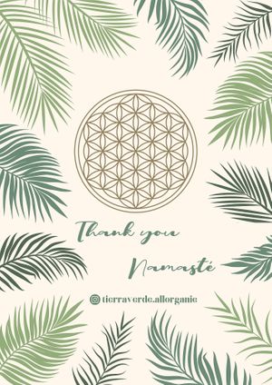 Menu 12 at Tierra Verde in Playa Del Carmen