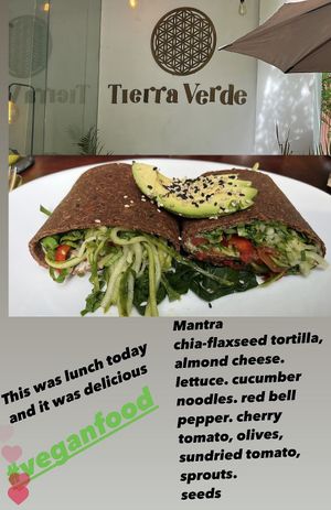 🌱🫶🤤  at Tierra Verde in Playa Del Carmen