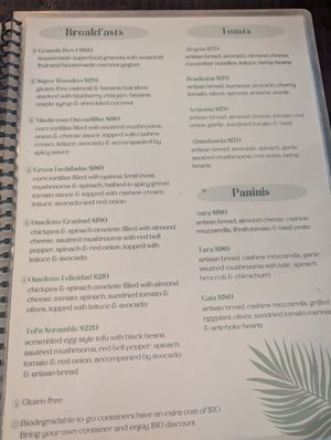  at Tierra Verde in Playa Del Carmen