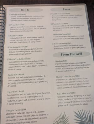  at Tierra Verde in Playa Del Carmen