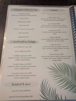  at Tierra Verde in Playa Del Carmen