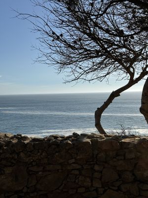   at Palaphita in Cascais