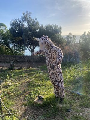   at Palaphita in Cascais