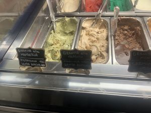 Labeled vegan flavors  at Amore Di Gelati in Salo