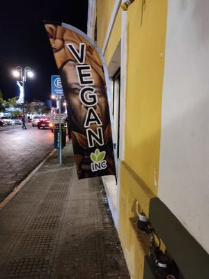  at CASA AÜA MÉRIDA in Merida