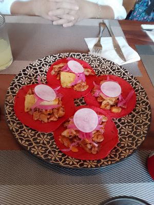 Tacos at CASA AÜA MÉRIDA in Merida