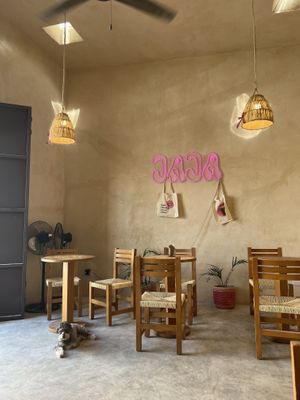   at JAJAJANA in Merida