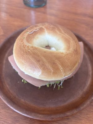   at JAJAJANA in Merida