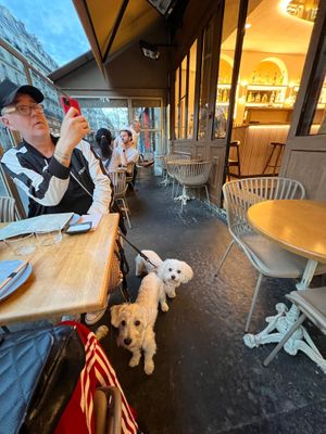 Terrace with my hairy children  at Bloom Sushi in Paris