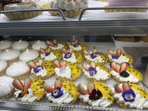 Tartlets   at Miss Sina in Marrickville