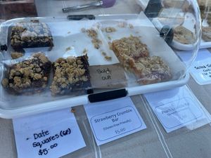 A small selection of their vegan treats   at Obviously Plantbased Foods in Springwater