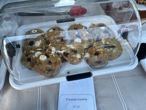 Vegan s’more cookies of which they offered samples! Delicious!   at Obviously Plantbased Foods in Springwater