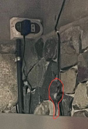 Chef ratatouille (it’s an outdoor kitchen)  at Okaniko Restaurant in Santa Cruz La Laguna