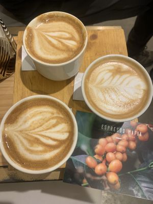 Beautiful coffee, superb flavour, great Barista.  at Espresso Mafia  in Girona