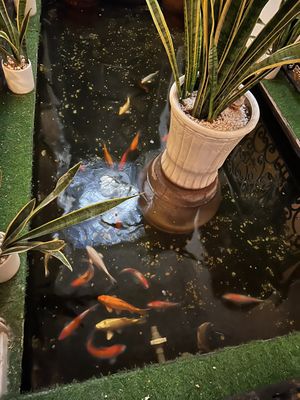  at Cai Mam Bistro - Signature Vegan in Hanoi