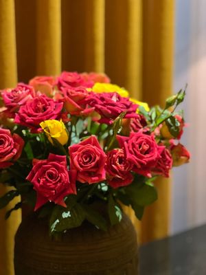  at Cai Mam Bistro - Signature Vegan in Hanoi