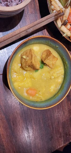 TWO pieces of tofu in this curry for 159k?! at Cai Mam Bistro - Signature Vegan in Hanoi