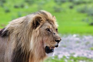  at Ohanya Tour and Safari in Windhoek