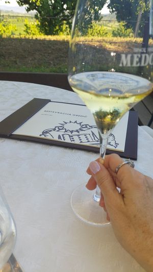  at Vinotheque Gredič in Dobrovo