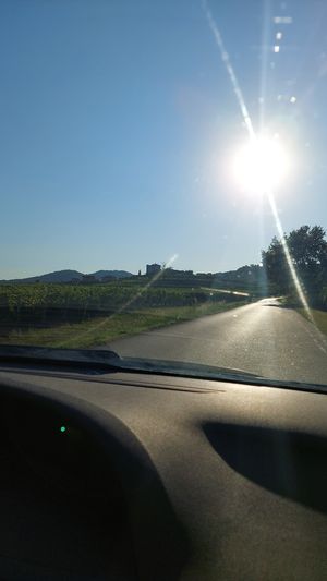  at Vinotheque Gredič in Dobrovo