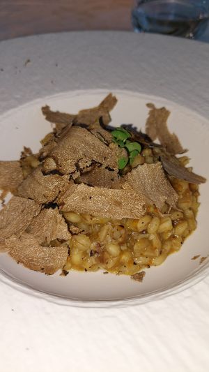  at Vinotheque Gredič in Dobrovo