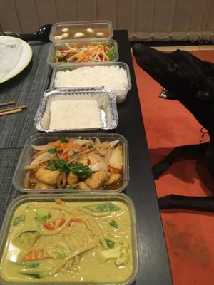 Dog approved at Thai Rack at the Glass House in Royston