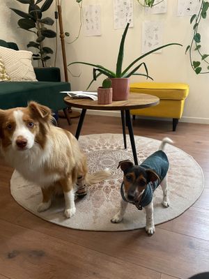  at Marinka Tattoo Atelier in Munich