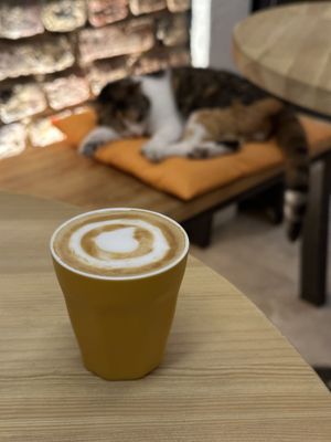   at Salve Kadıköy in Istanbul