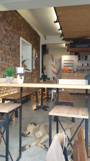 Inside at Salve Kadıköy in Istanbul