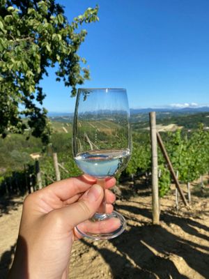 Vista pazzesca at Gringhigna in Strevi