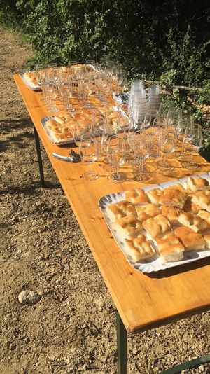   at Gringhigna in Strevi