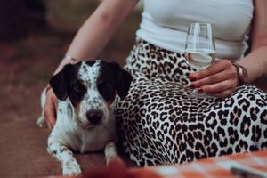  at Gringhigna in Strevi