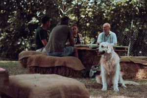  at Gringhigna in Strevi